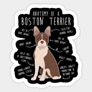 Seal Boston Terrier Dog Anatomy Sticker